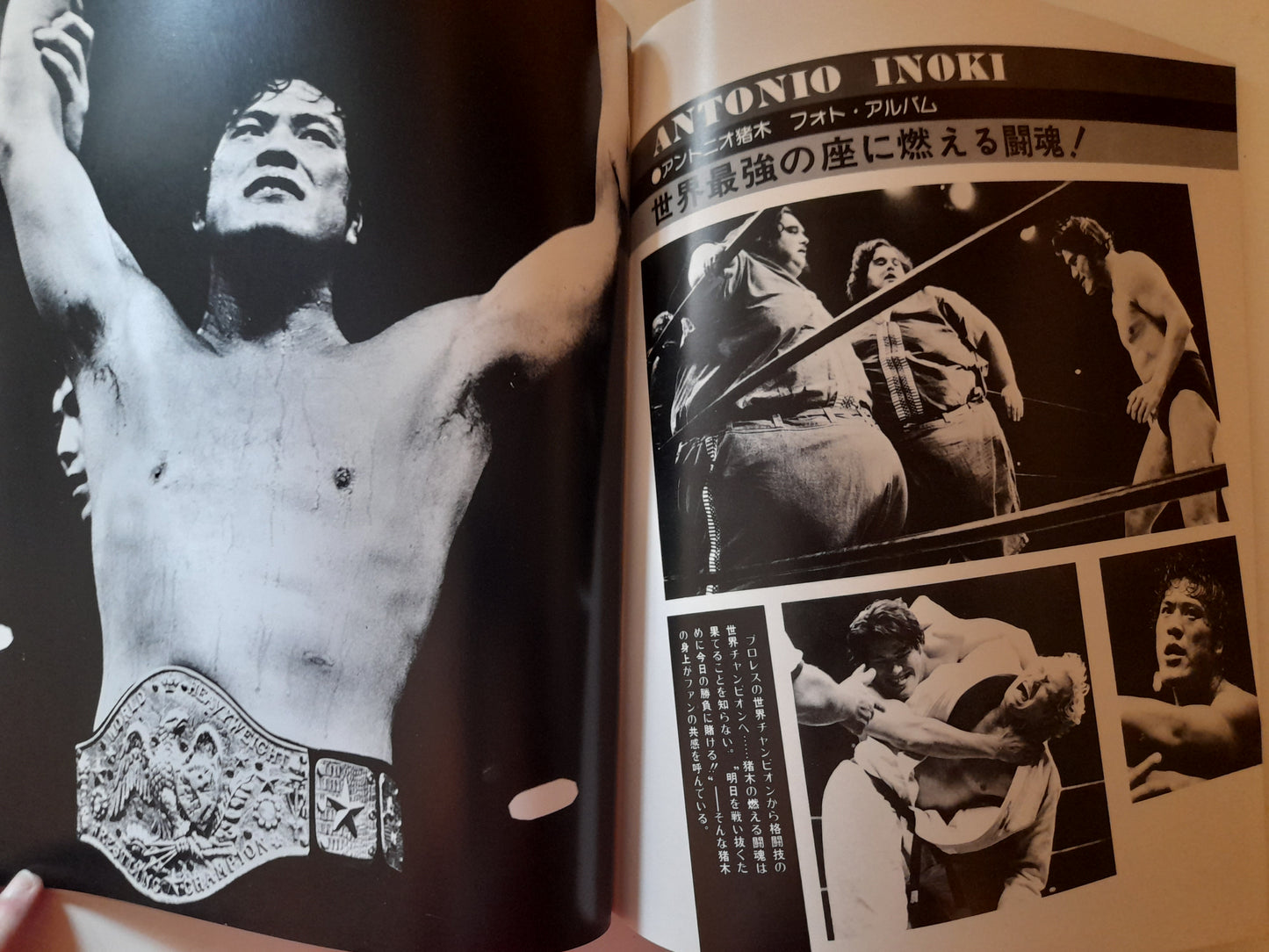 The War of the Worlds (1st Ever MMA Fight) - Muhammad Ali Vs Antonio Inoki - Official Event Program (1976)