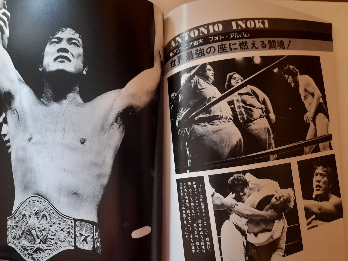 The War of the Worlds (1st Ever MMA Fight) - Muhammad Ali Vs Antonio Inoki - Official Event Program (1976)