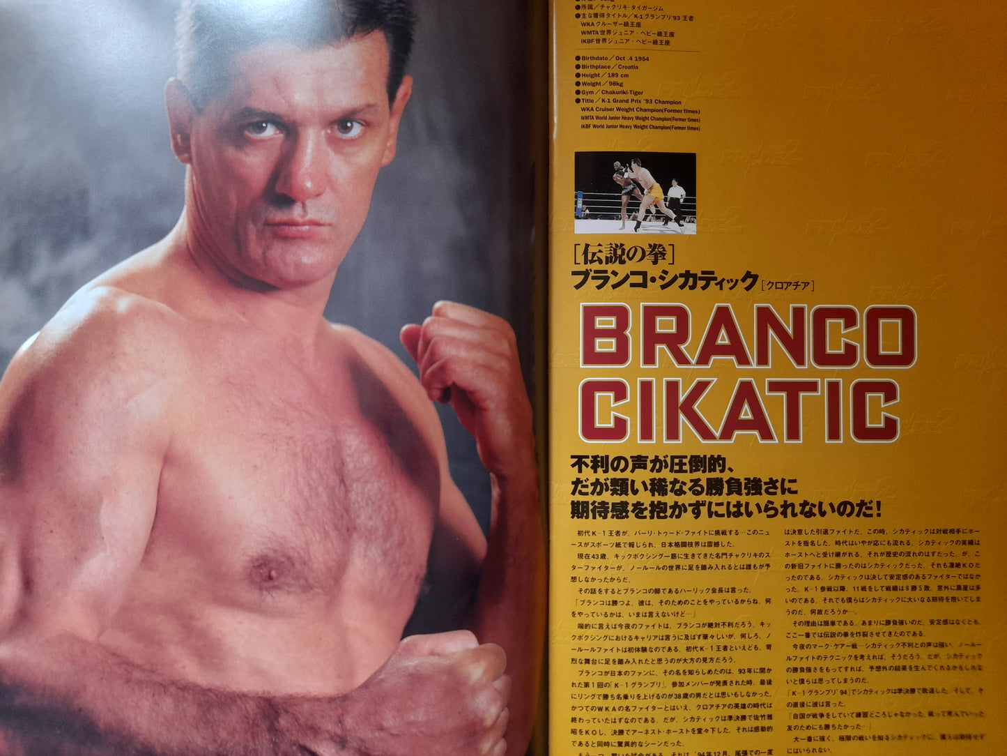 Pride FC 2 - Kerr Vs Cikatic (1998) - Official Event Program
