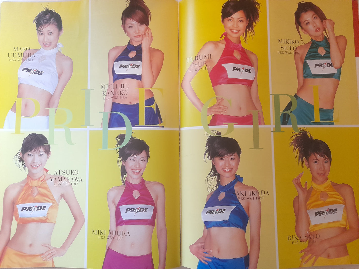 Pride FC 2004 Heavyweight GP Opening Round - Official Event Program