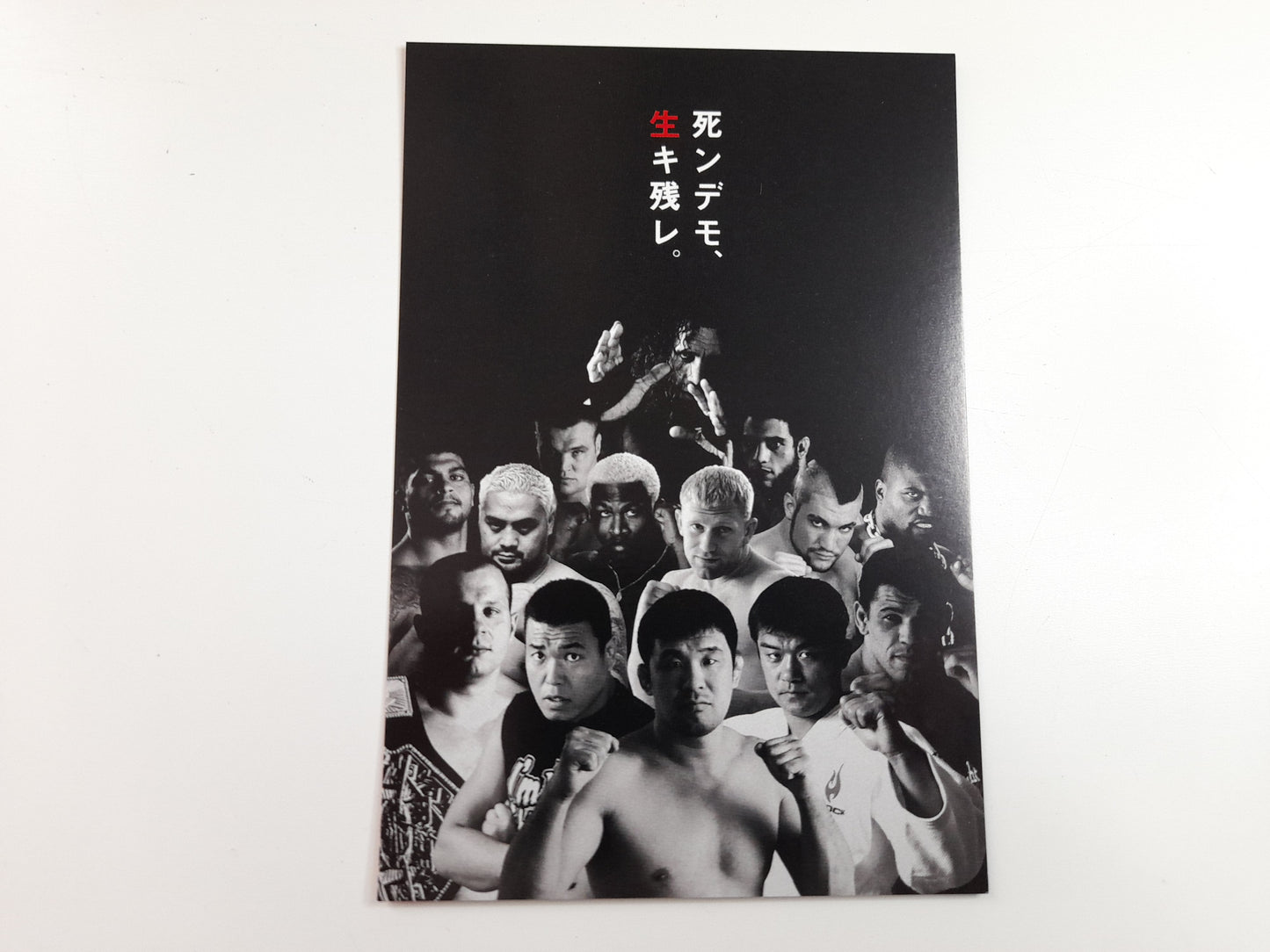 PRIDE Fighting Championship Otoko Matsuri 2004 Collectable Postcard - PRIDE Fighters