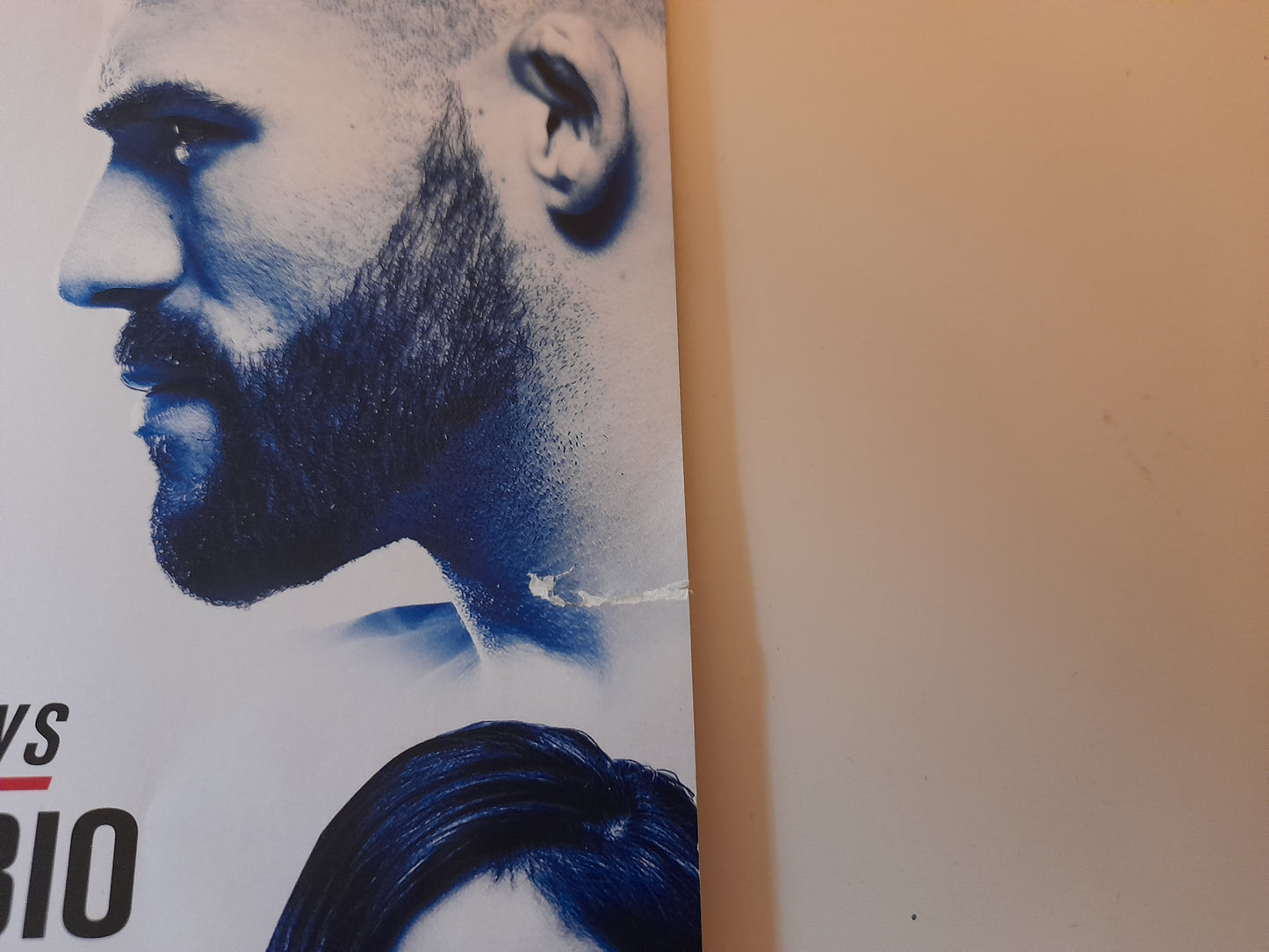 UFC Fight Night 113 (UK) - Nelson Vs Ponzinibbio - Official Event Program (2017)