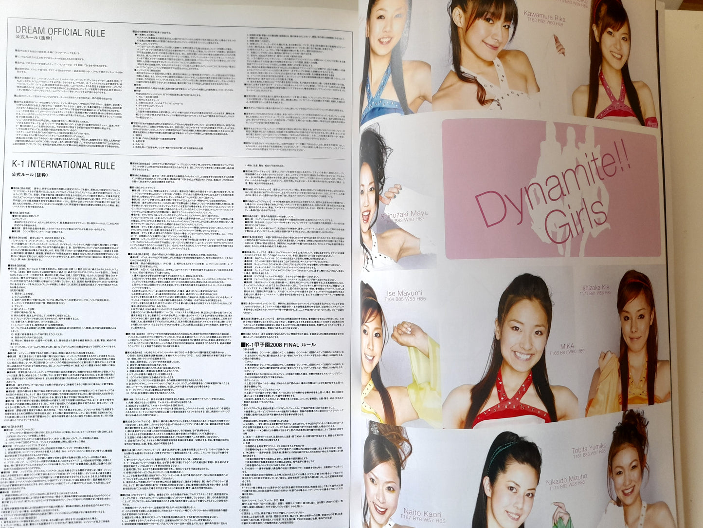 FEG Presents: Dynamite!! 2008 - K-1 Vs MMA - Official Event Program