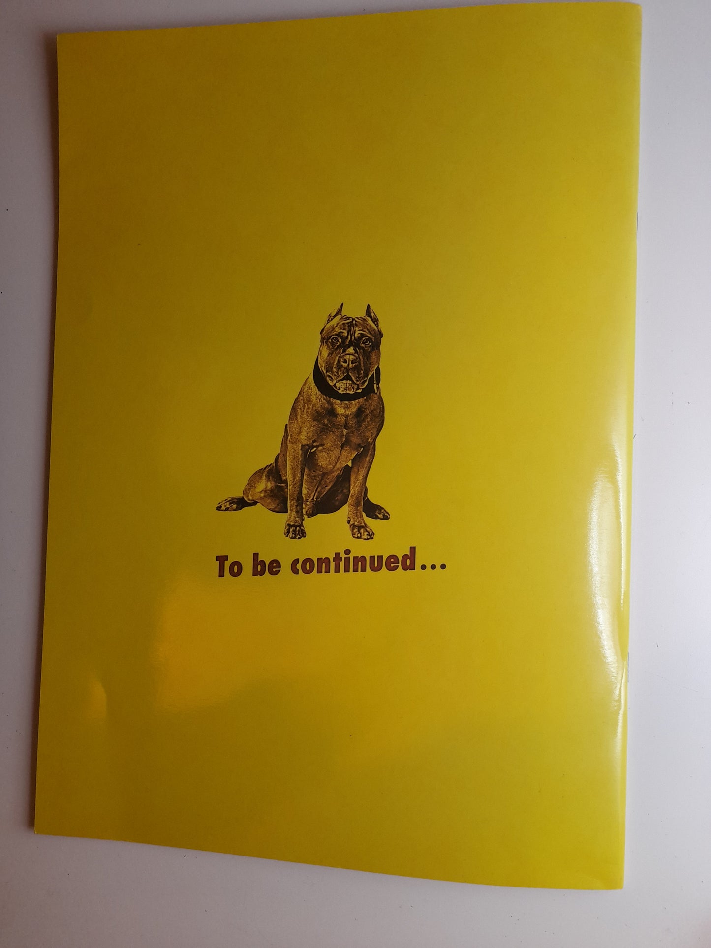 Pride FC 6 - Kerr Vs Takada (1999) - Official Event Program