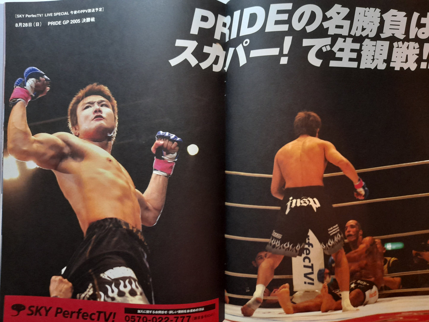 Pride FC Bushido 8 (2005) - Official Event Program