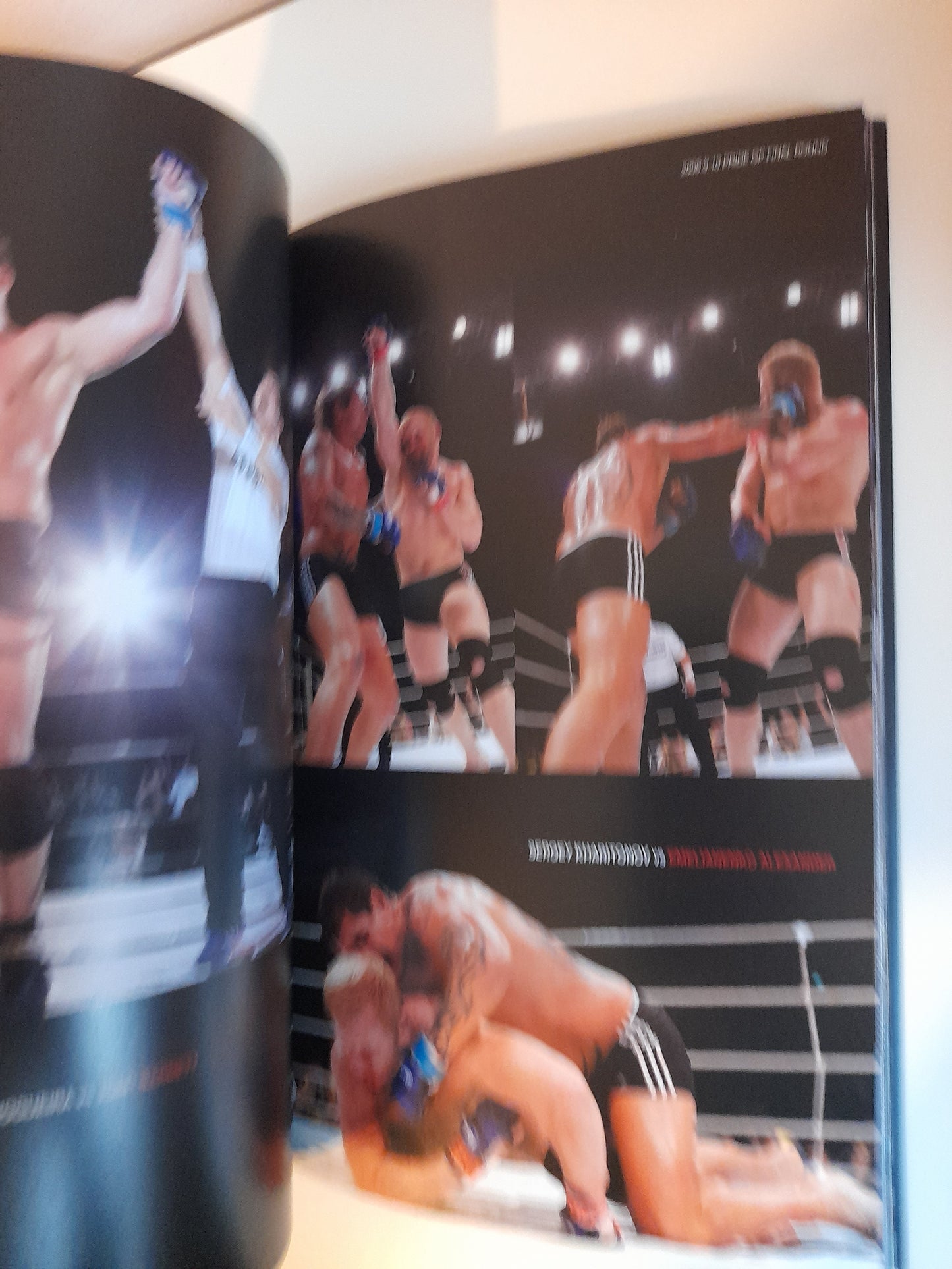 Pride FC Shockwave 2006 "Fumetsu" - Official Event Program