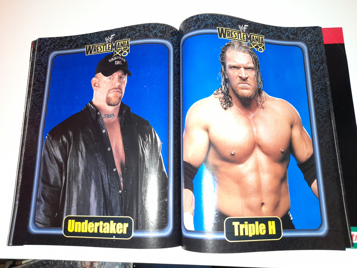 WWF Wrestling - Wrestlemania 18 - Official Event Program (2002)