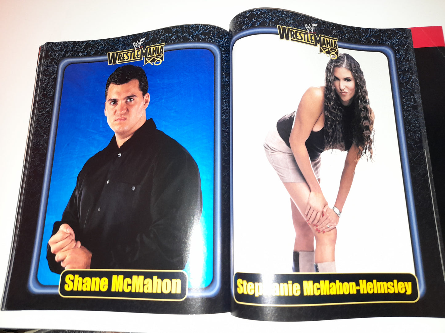 WWF Wrestling - Wrestlemania 18 - Official Event Program (2002)