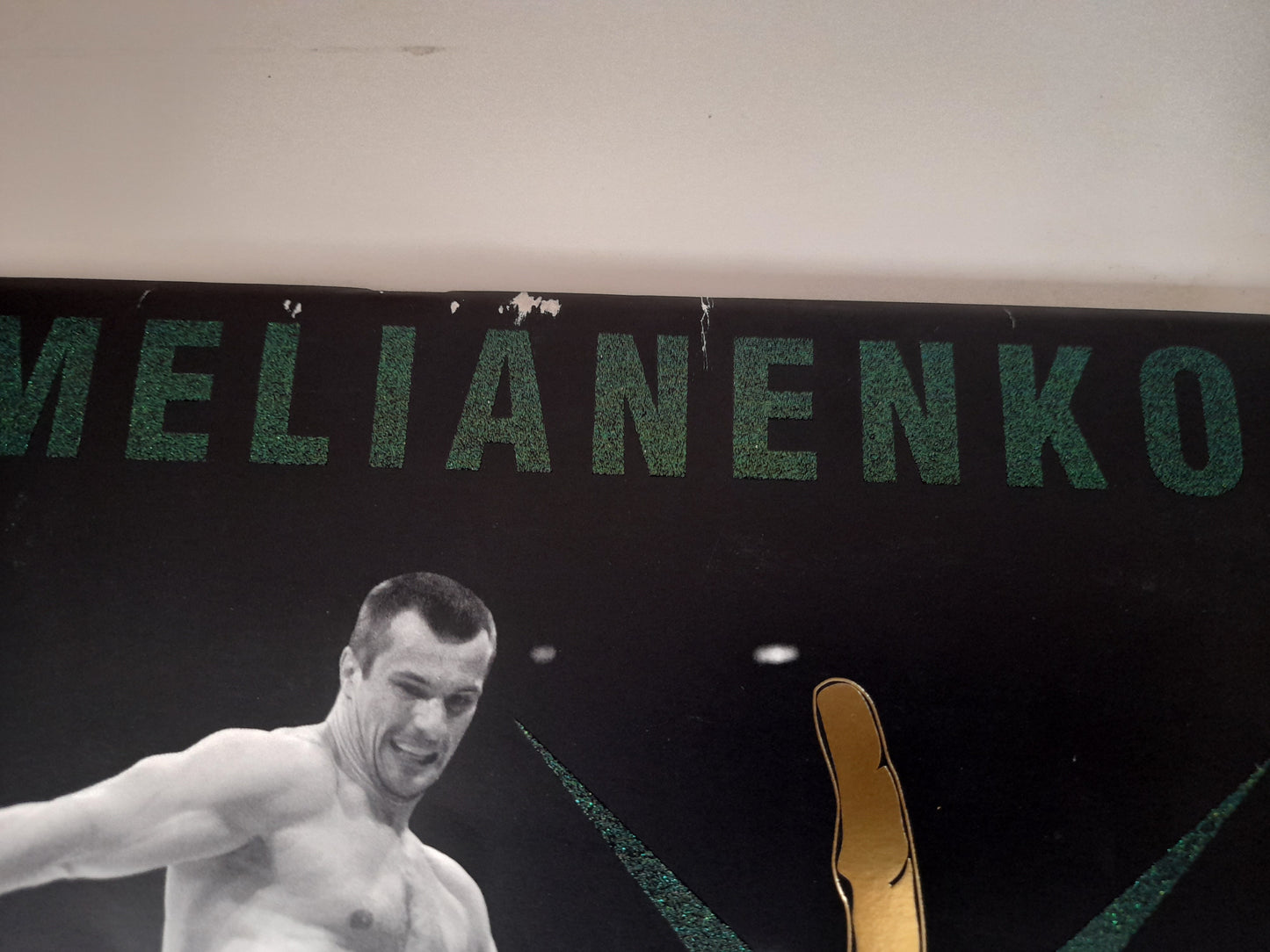 Pride FC 2005 Middleweight GP Final Round - Official Event Program