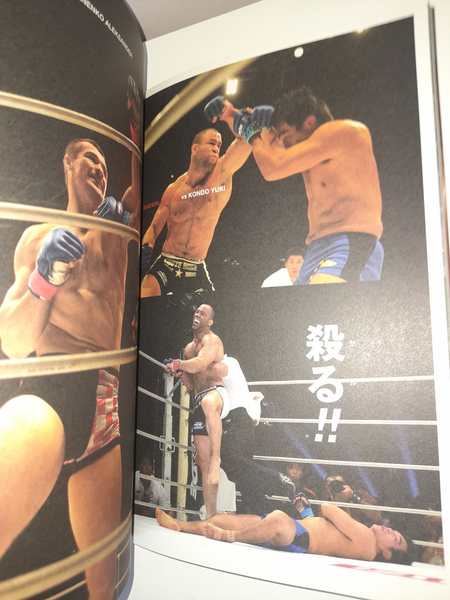 Pride FC Shockwave 2004 "Sadame" - Official Event Program