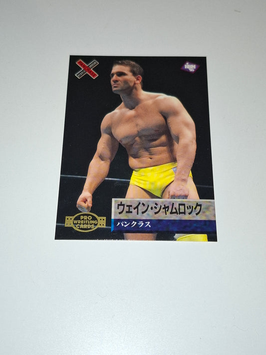Ken Shamrock - Official Rookie Trading Card - #112 - BBM Pancrase Set (1995)
