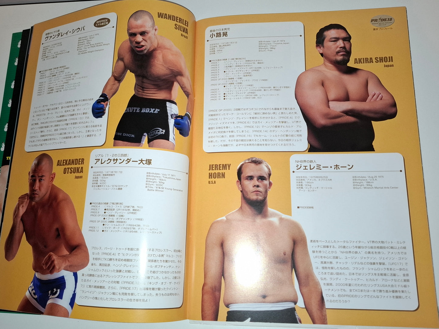 Pride FC 18 Cold Fury 2 - Schilt Vs Takayama (2001) Official Event Program
