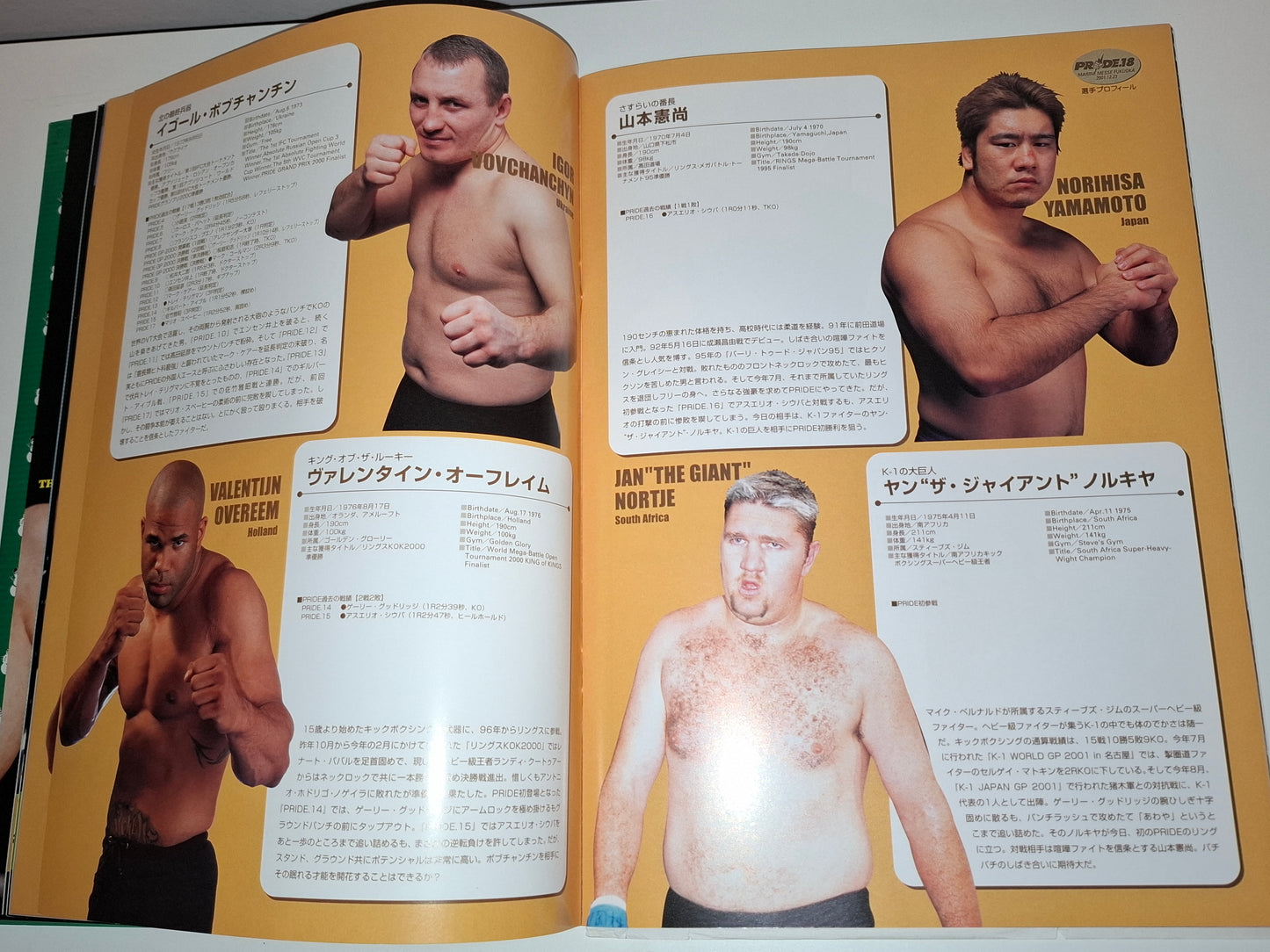 Pride FC 18 Cold Fury 2 - Schilt Vs Takayama (2001) Official Event Program