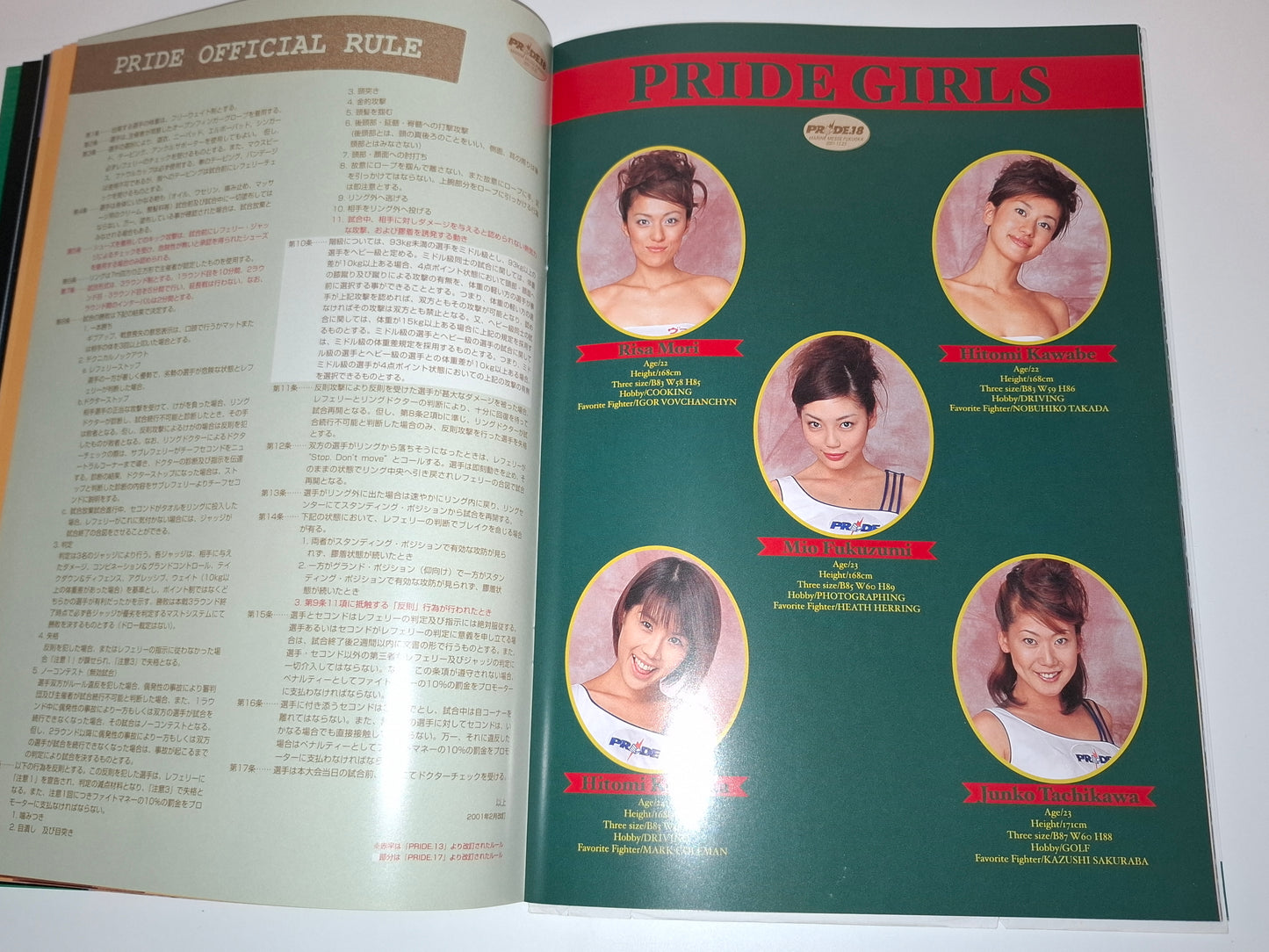 Pride FC 18 Cold Fury 2 - Schilt Vs Takayama (2001) Official Event Program