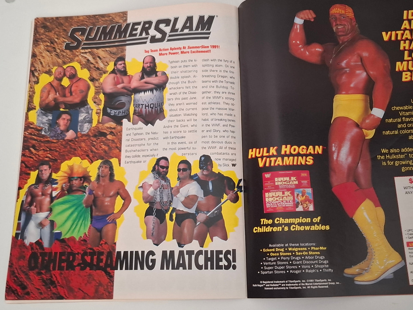 WWF Wrestling - SummerSlam 91 - Official Event Program (1991)