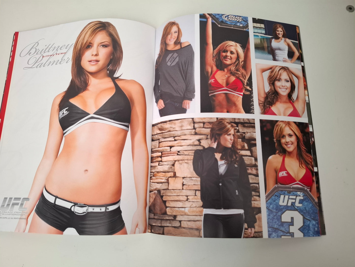 UFC on Fuel Tv 2 (SWE) - Gustafsson Vs Silva - Official Event Program (2012)