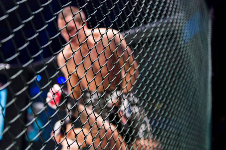 Fight Worn