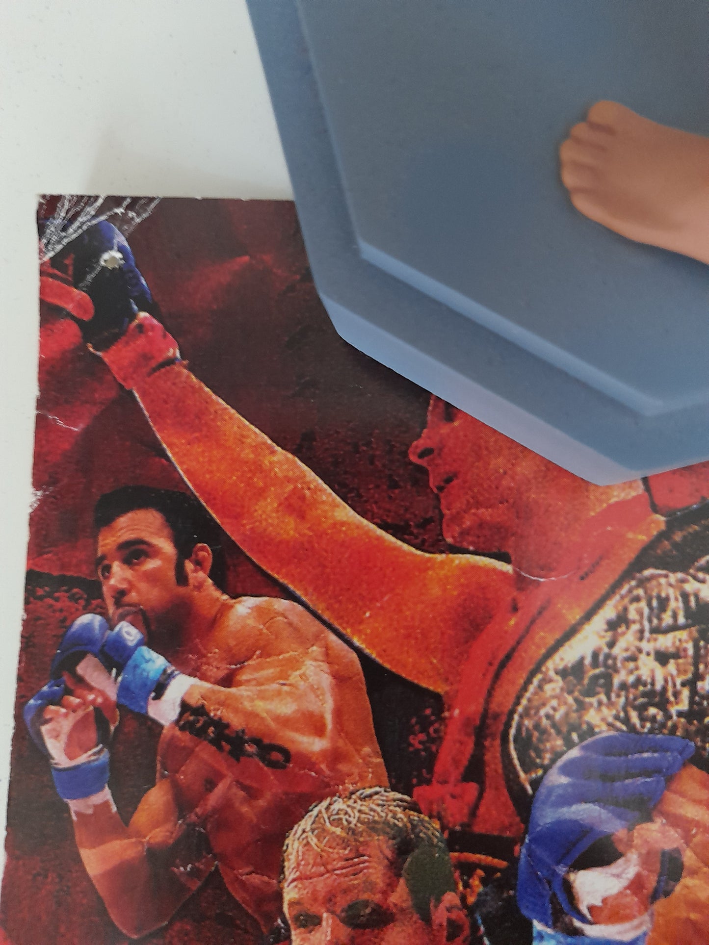 Pride Fighting Championship 32 - Fedor Vs Coleman - Official Event Poster [AUTOGRAPHED] - B3 15x20