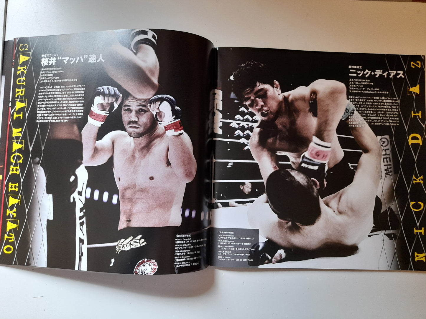 DREAM 14 - Nick Diaz Vs Hayato Sakurai (2010) - Official Event Program