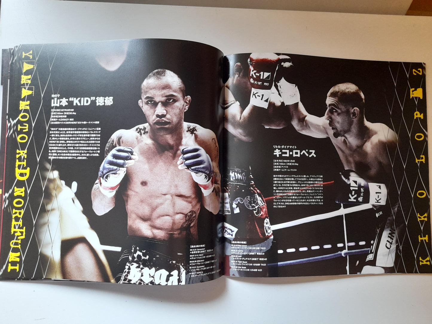 DREAM 14 - Nick Diaz Vs Hayato Sakurai (2010) - Official Event Program