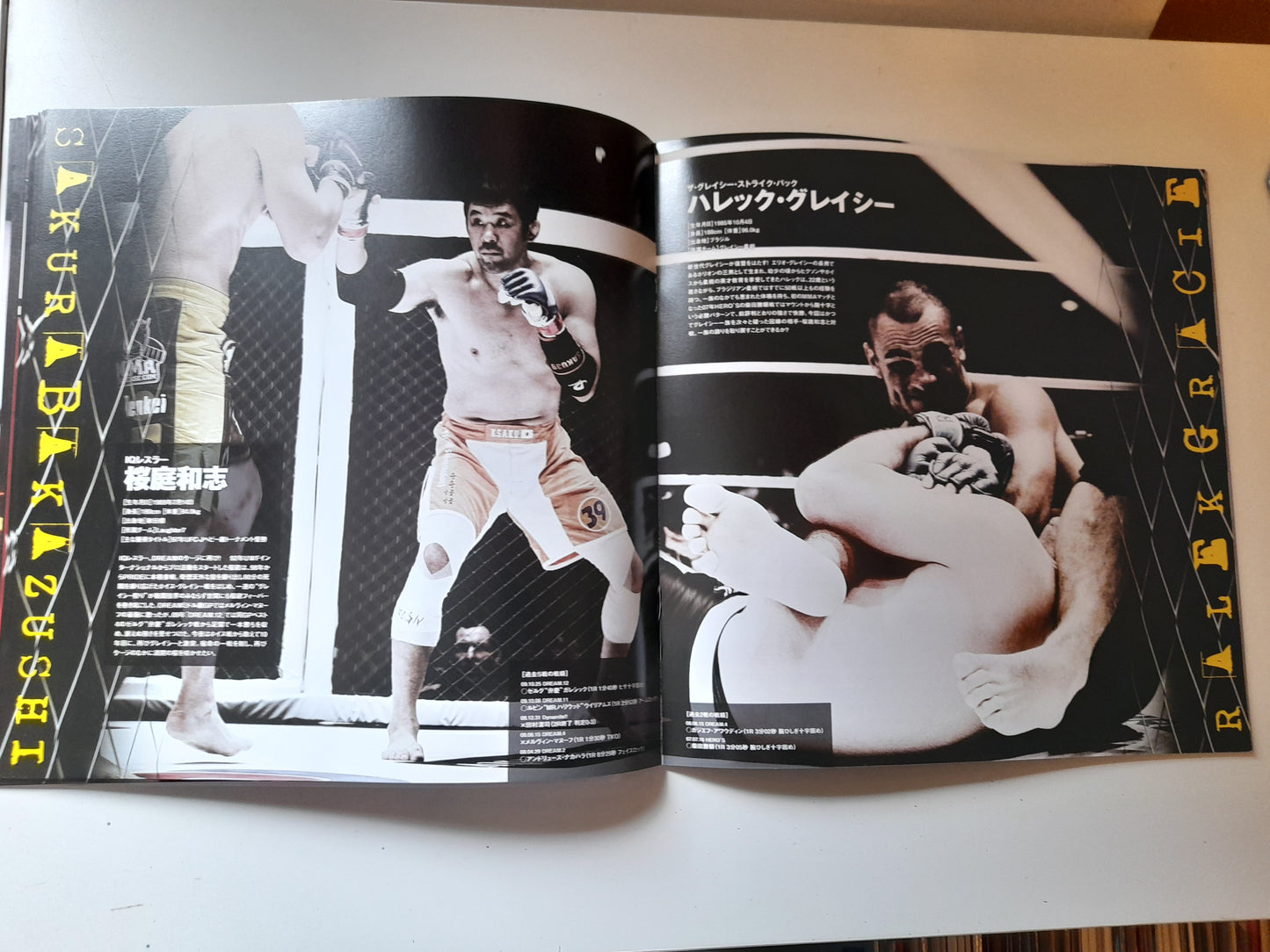 DREAM 14 - Nick Diaz Vs Hayato Sakurai (2010) - Official Event Program