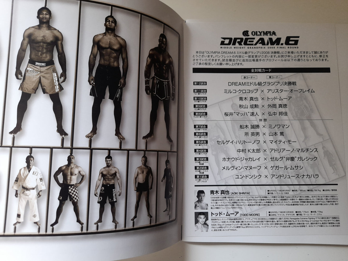DREAM 6 - Middleweight GP Finals (2008) - Official Event Program