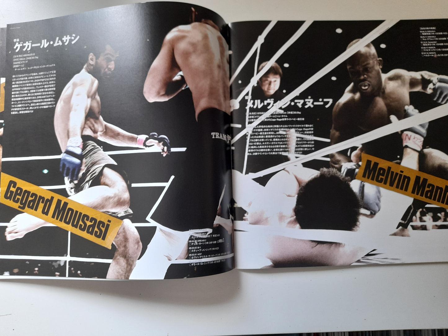 DREAM 6 - Middleweight GP Finals (2008) - Official Event Program