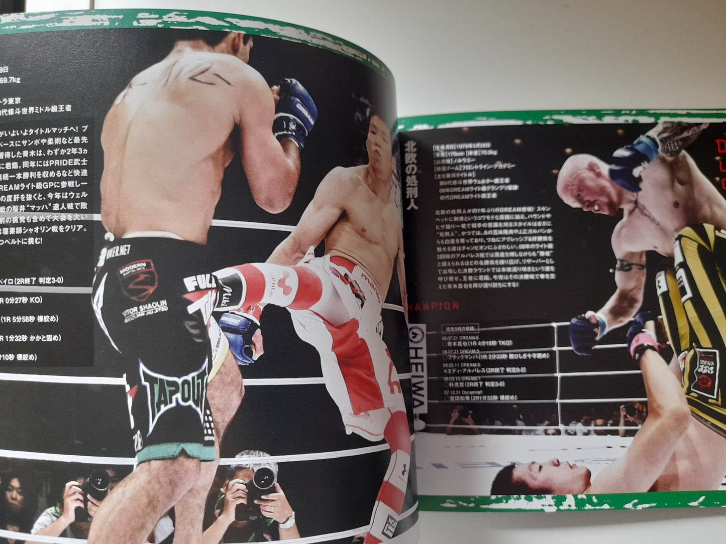 DREAM 11 - Featherweight GP Finals (2009) - Official Event Program