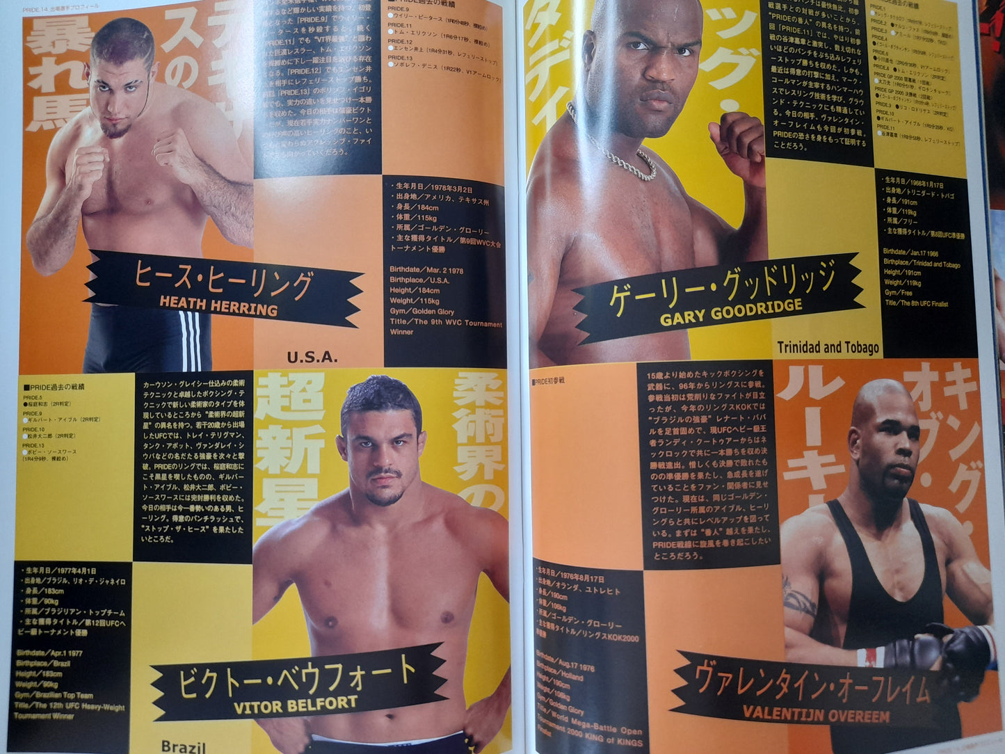 Pride FC 14 - Fujita Vs Takayama (2001) - Official Event Program