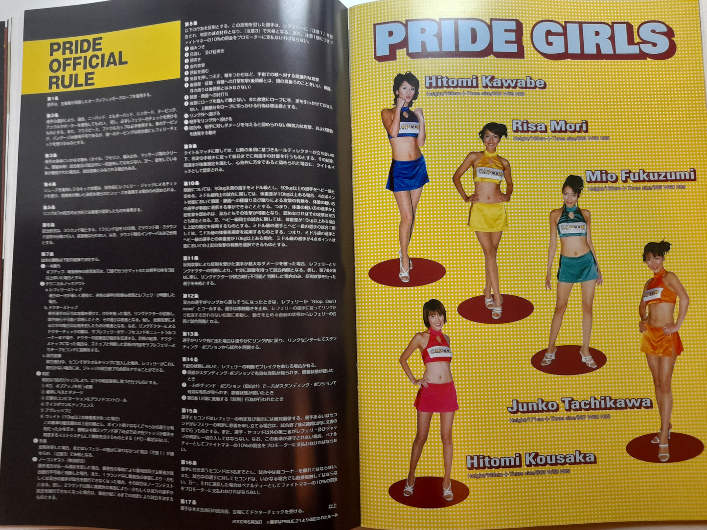 Pride FC 24 Cold Fury 3 - Antonio Nogueira Vs Dan Henderson (2002) - Official Event Program
