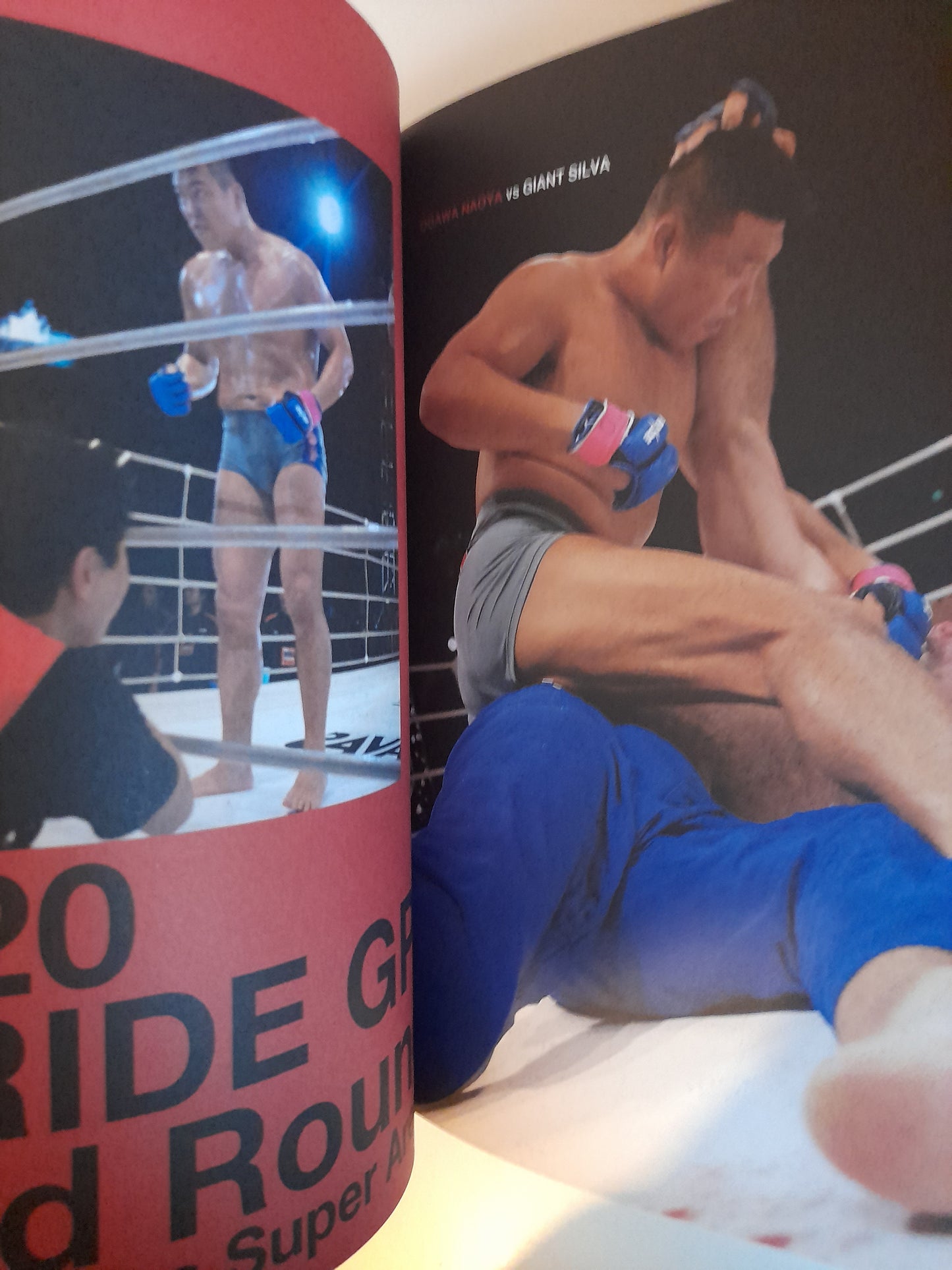 Pride FC Shockwave 2004 "Sadame" - Official Event Program