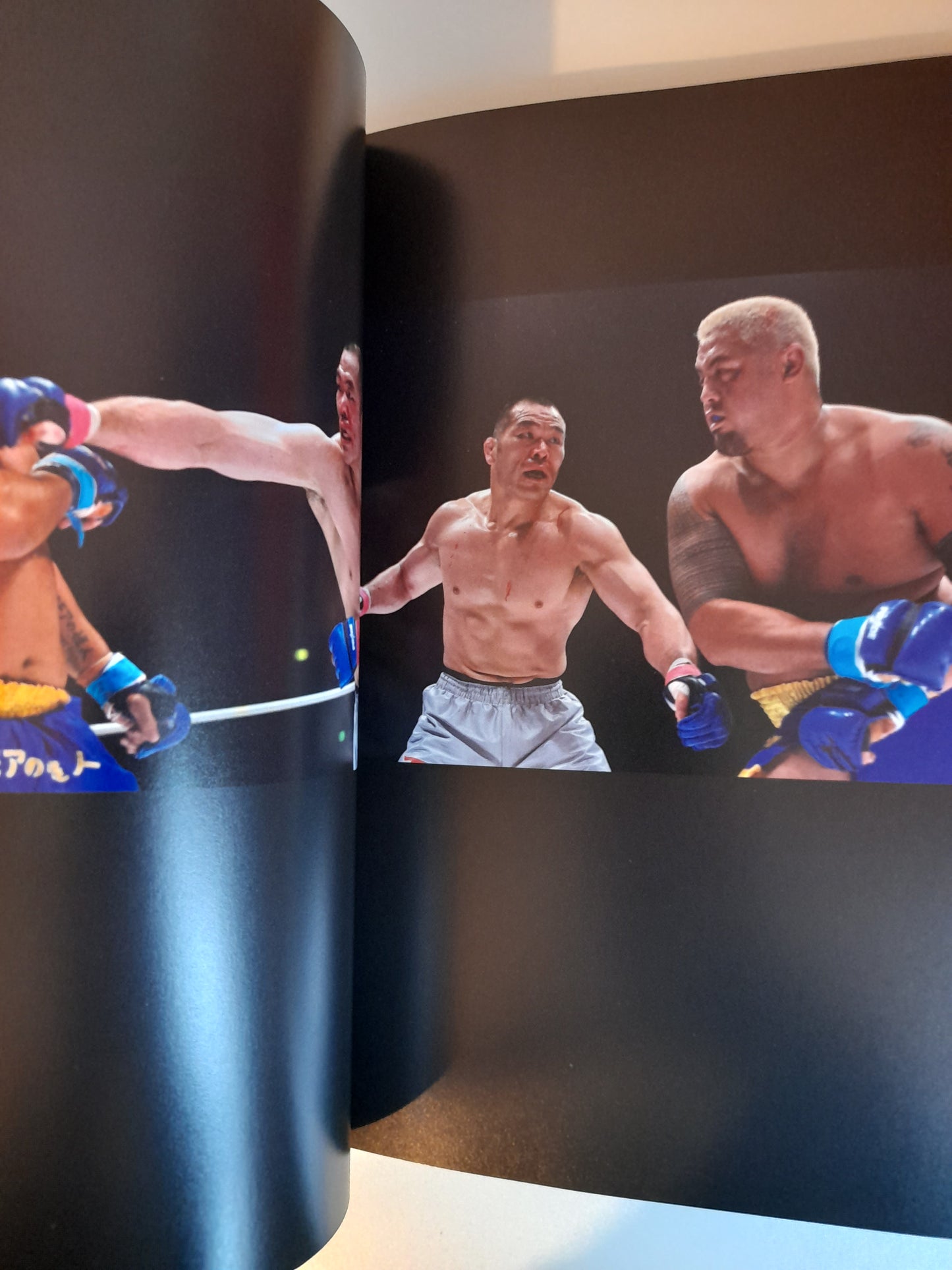 Pride FC Shockwave 2006 "Fumetsu" - Official Event Program