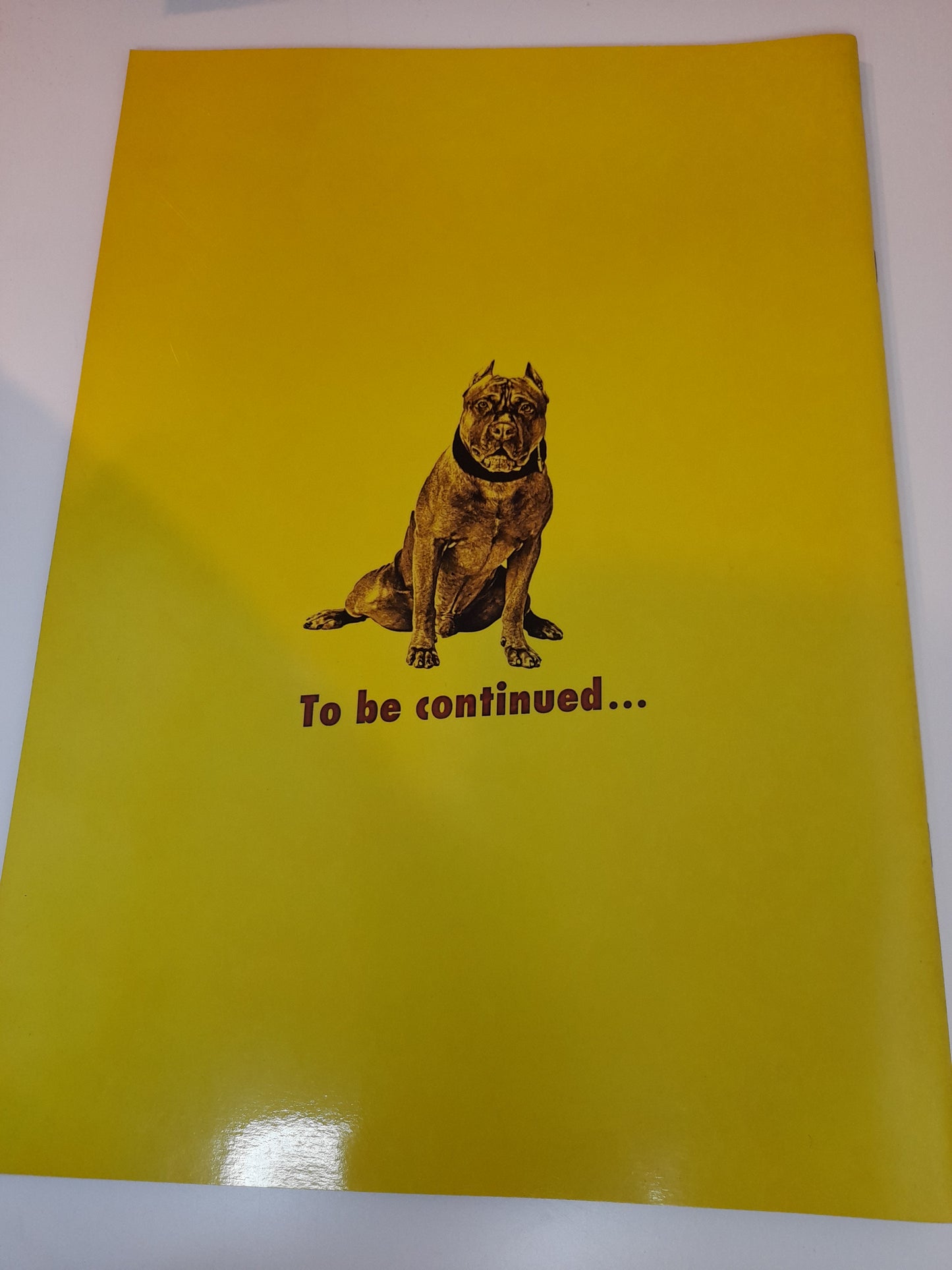 Pride FC 6 - Kerr Vs Takada (1999) - Official Event Program