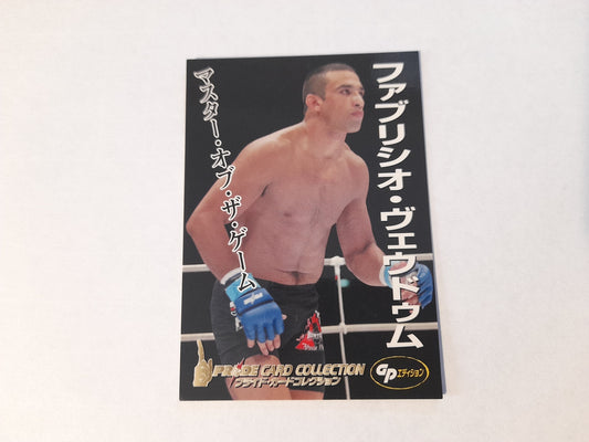 2006 DSE Pride Fighting Championships Trading Card - #048 Fabricio Werdum