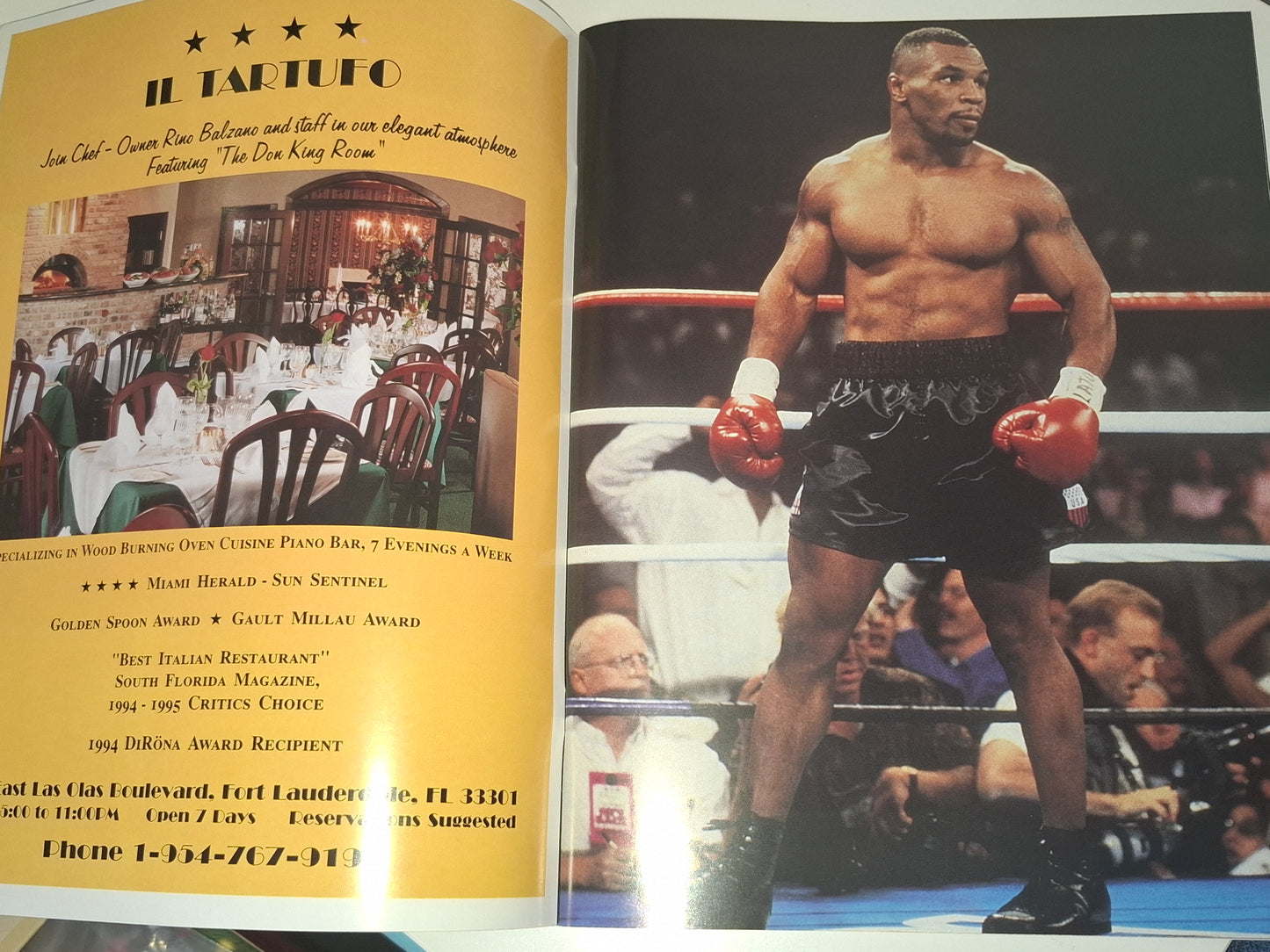 Frank Bruno Vs Mike Tyson 2 - Official Boxing Event Program (1996)