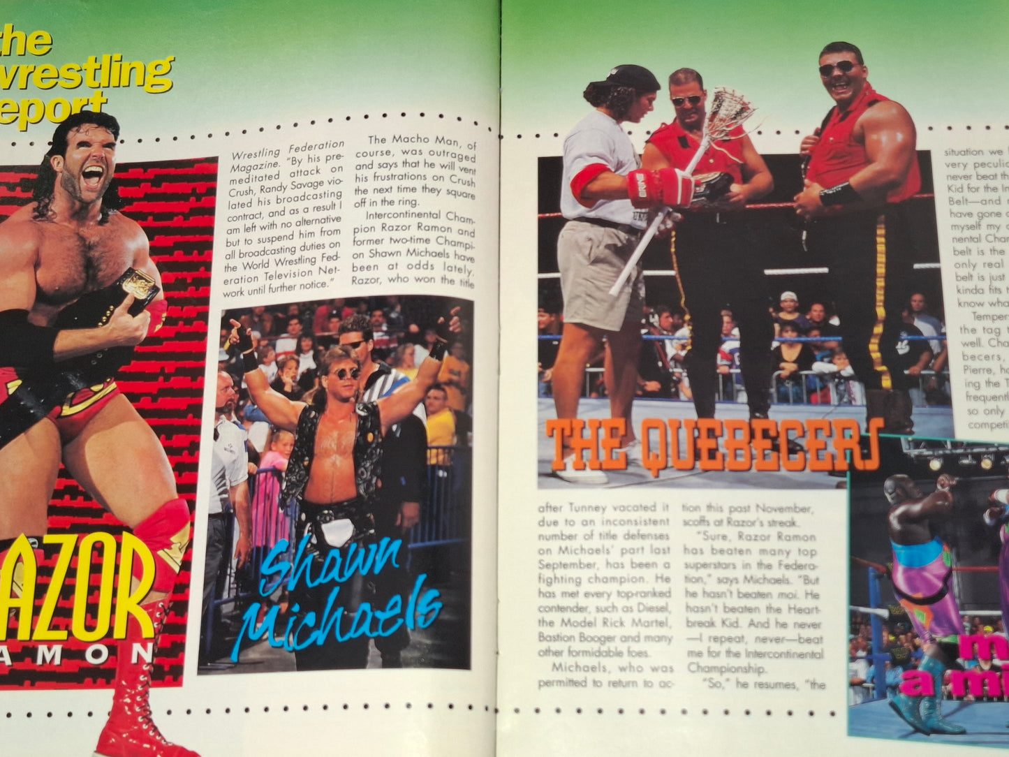 WWF Wrestling - Royal Rumble 94 - Official Event Program (1994)