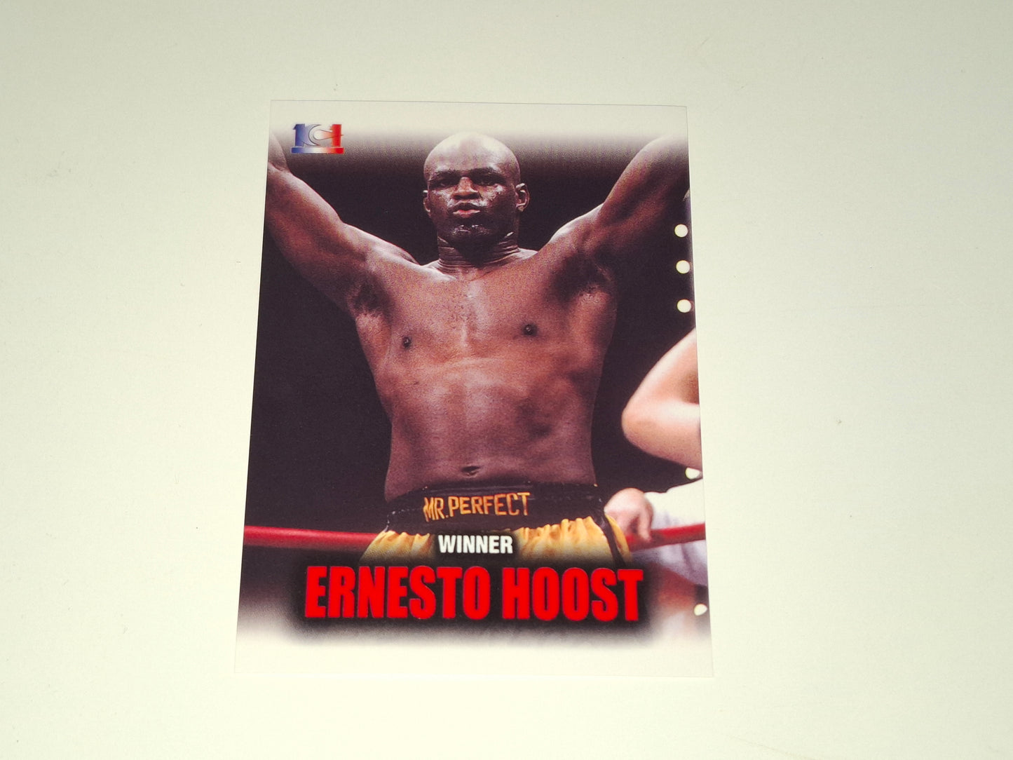 Ernesto Hoost - Official Trading Card - #090 - Champions - K-1 Kickboxing Epoch Set (2001)