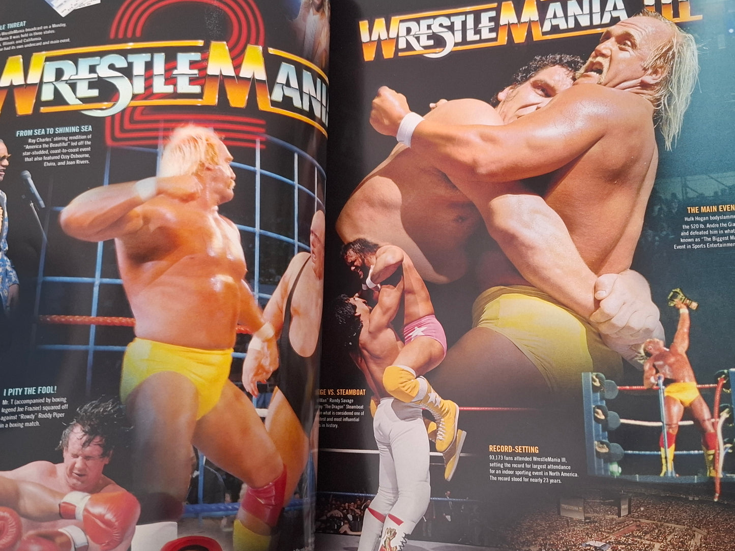 WWF / WWE Wrestling - Wrestlemania 35 - Official Event Program (2019)