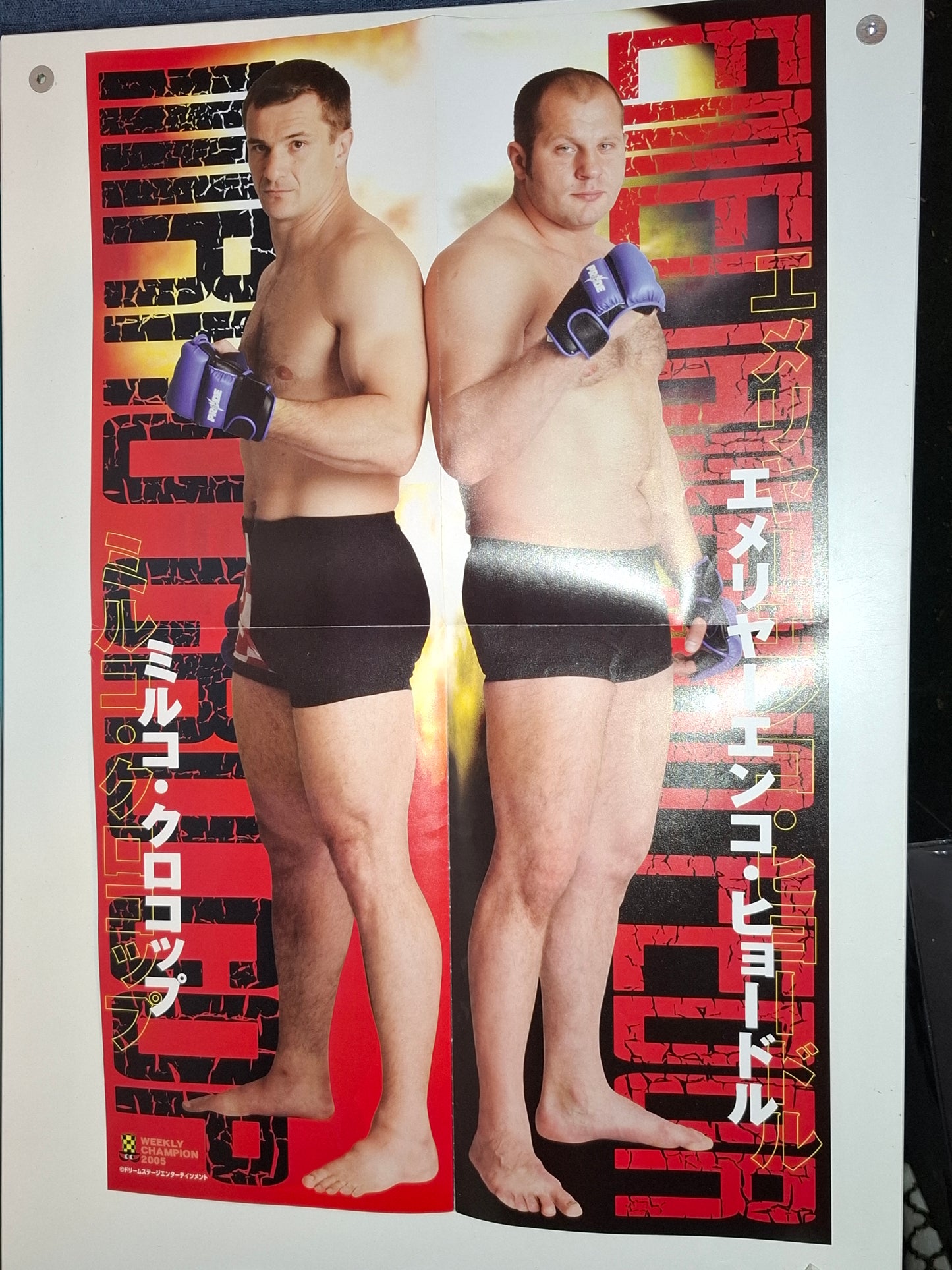 Mirko Crocop & Fedor Emelianenko -Japanese  Magazine Poster