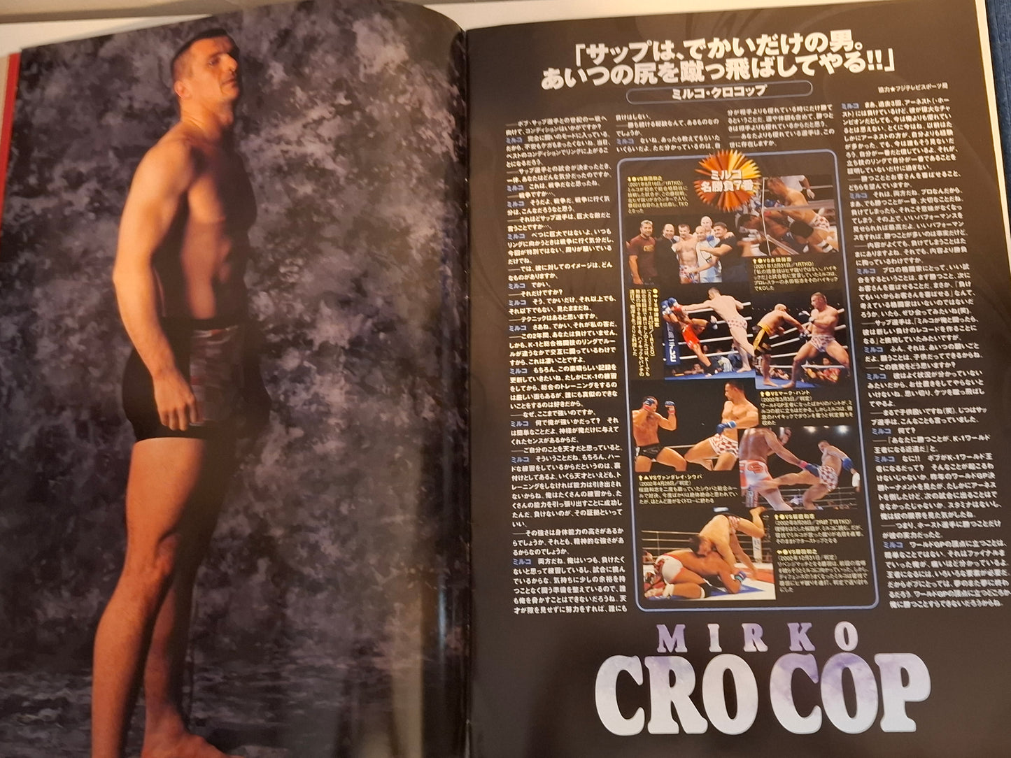 K-1 Kickboxing Japan Grand Prix 2003 Finals - Survival '03 - Official Event Program (2003) [AUTOGRAPHED]