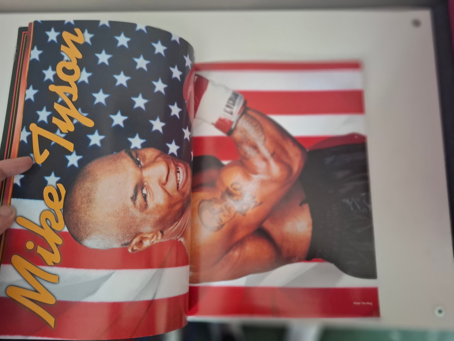 Mike Tyson Vs Lennox Lewis - Official Boxing Event Program (2002)