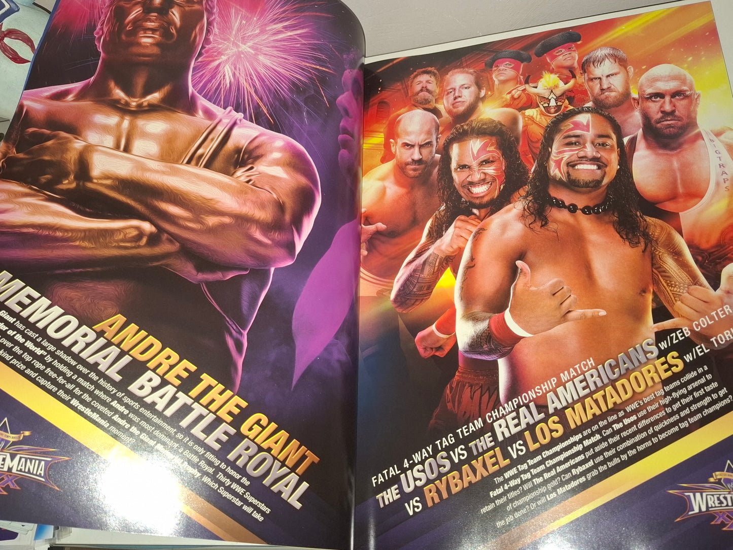 WWF / WWE Wrestling - Wrestlemania 30 - Official Event Program (2014)