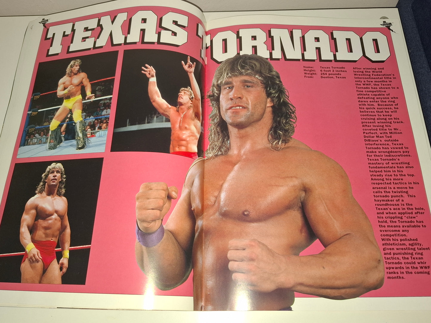 WWF Wrestling - Rampage European Tour 91 - Official Event Program (1991)