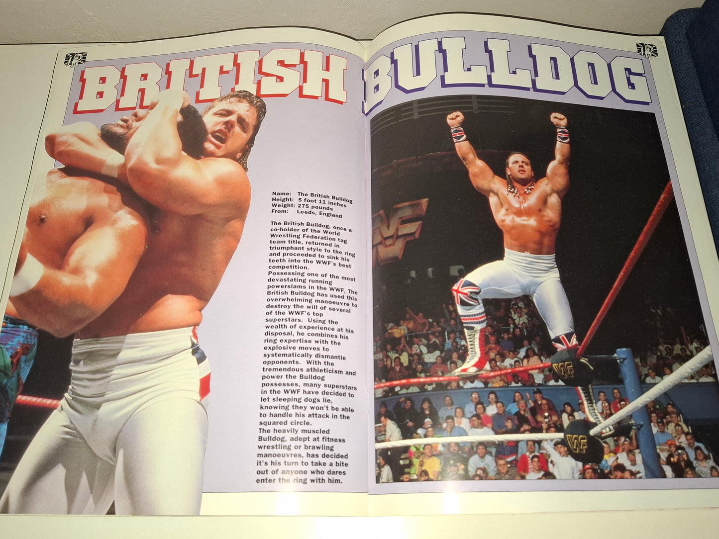 WWF Wrestling - Rampage European Tour 91 - Official Event Program (1991)