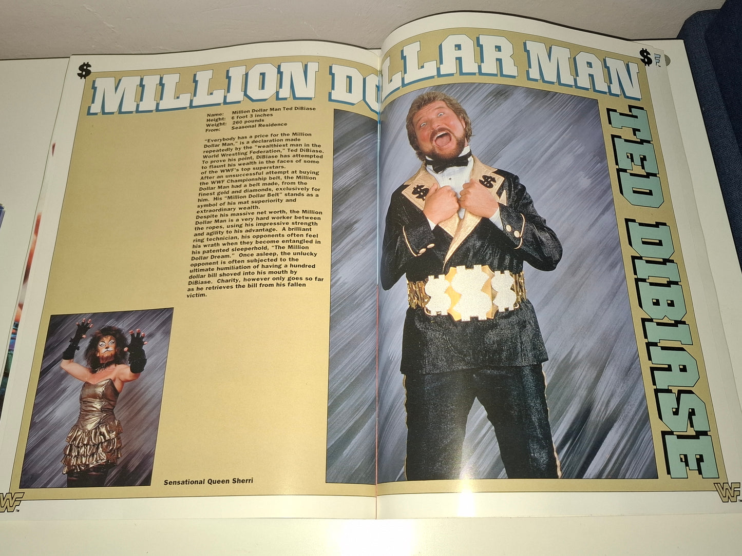 WWF Wrestling - Rampage European Tour 91 - Official Event Program (1991)
