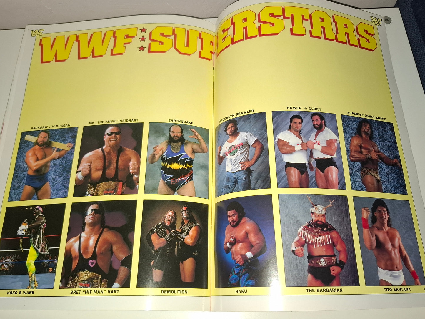 WWF Wrestling - Rampage European Tour 91 - Official Event Program (1991)