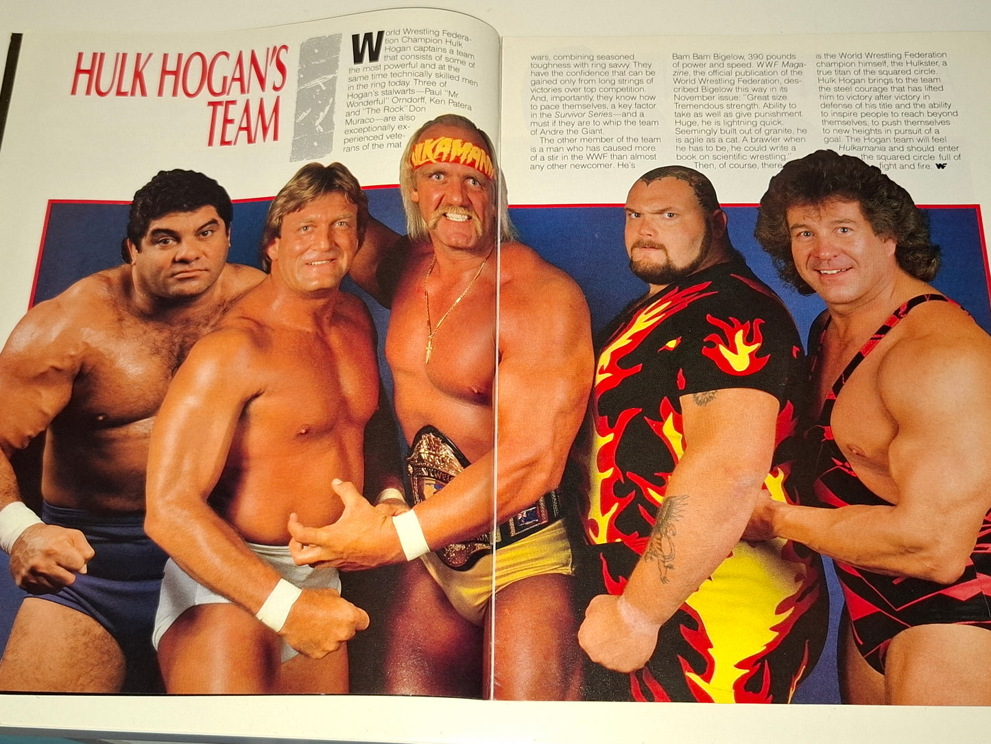 WWF Wrestling - Survivor Series 87 - Official Event Program (1987)