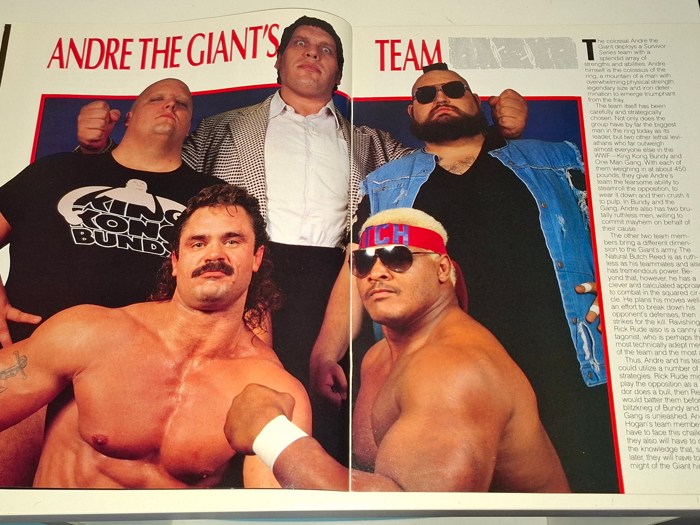 WWF Wrestling - Survivor Series 87 - Official Event Program (1987)