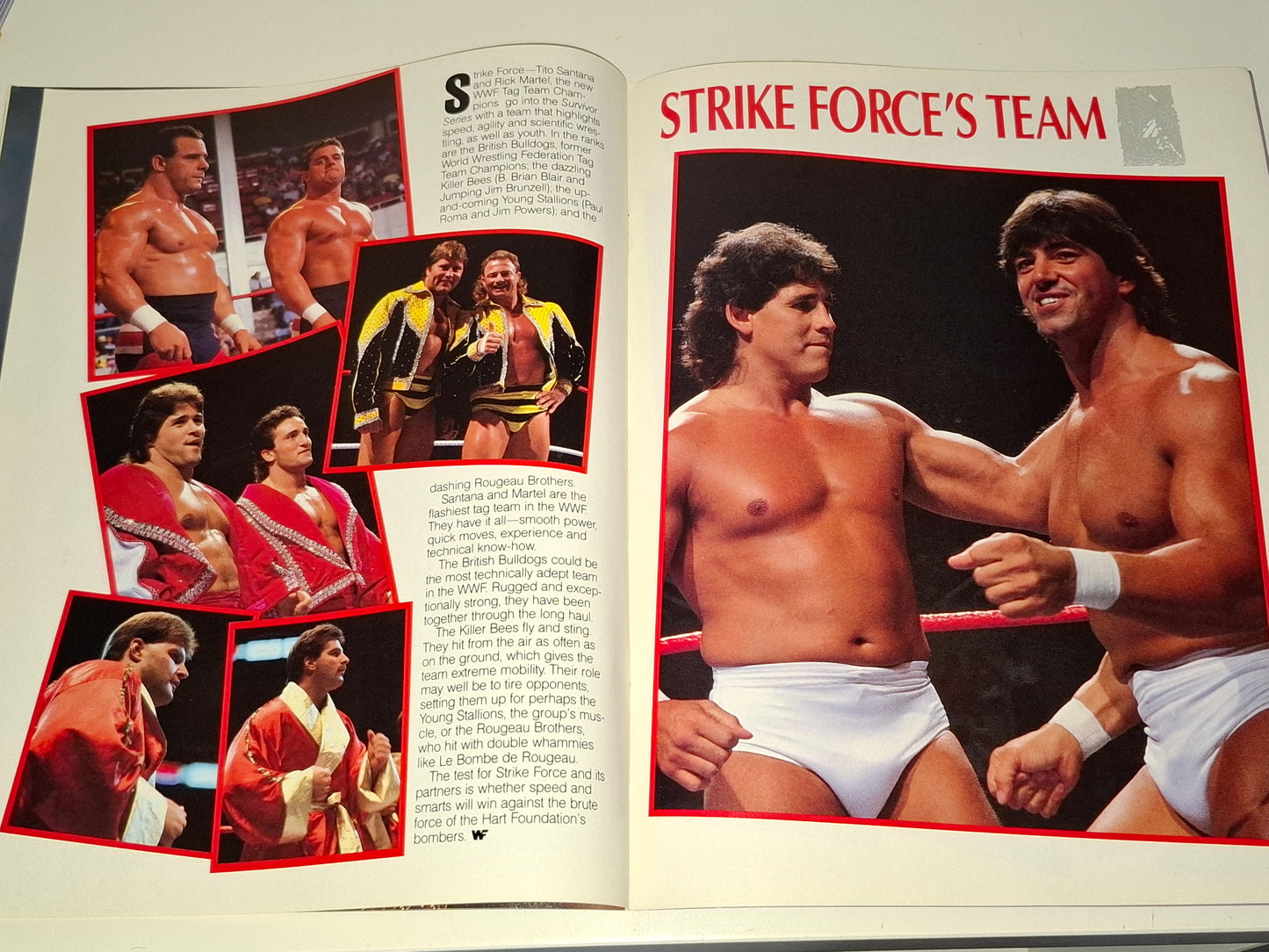WWF Wrestling - Survivor Series 87 - Official Event Program (1987)