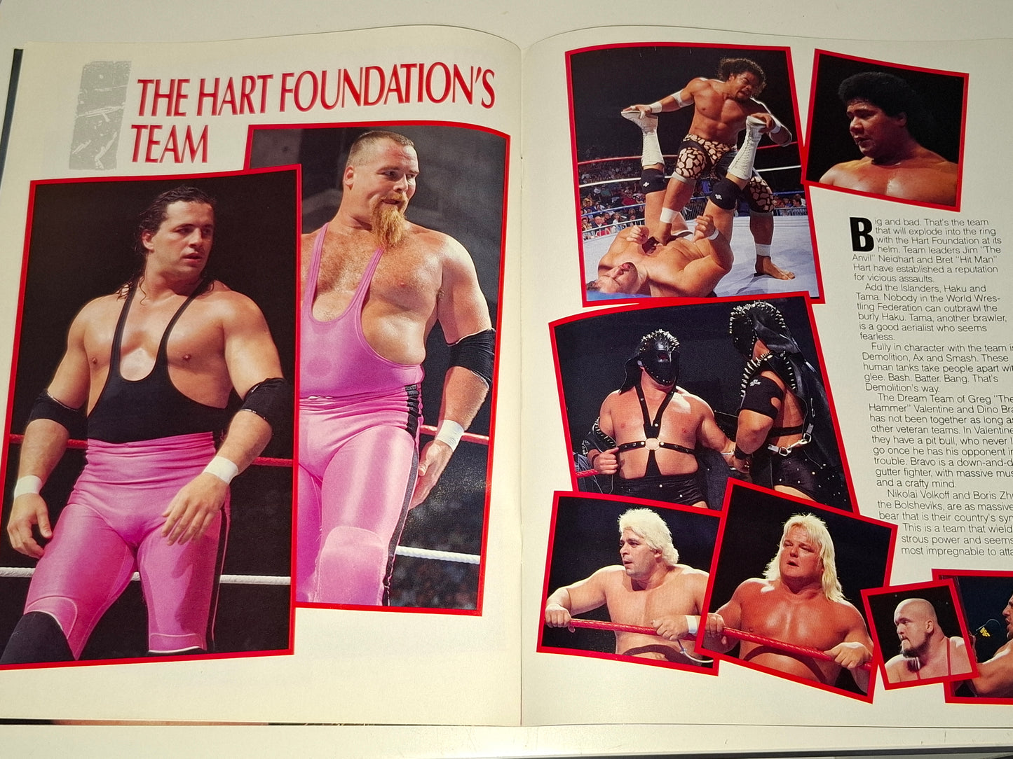 WWF Wrestling - Survivor Series 87 - Official Event Program (1987)